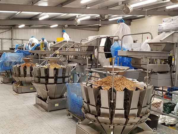 全自动深夜网站在线播放智能化联动生产